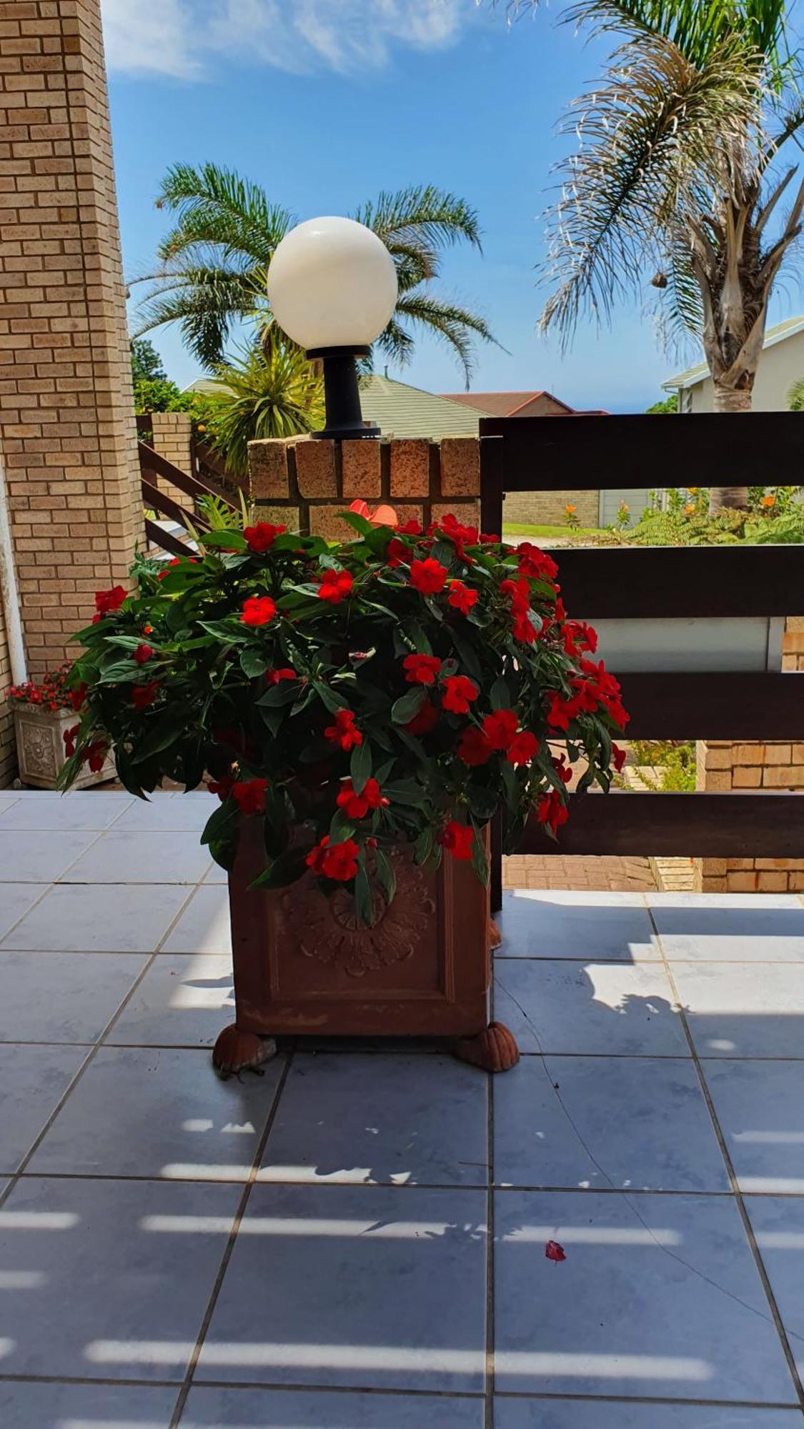 بورت الفريد Villa Majestic For Exclusive Accommodation المظهر الخارجي الصورة